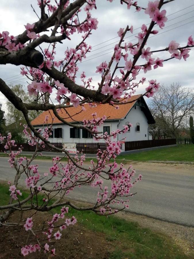 Szentgyoergyvoelgy Vendeghaz Orseg Hotel Szentgyorgyvolgy Exterior foto